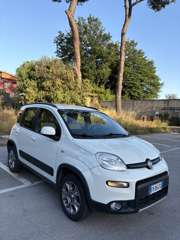 FIAT PANDA 1.3 MULTIJET 4x4 - immagine 3
