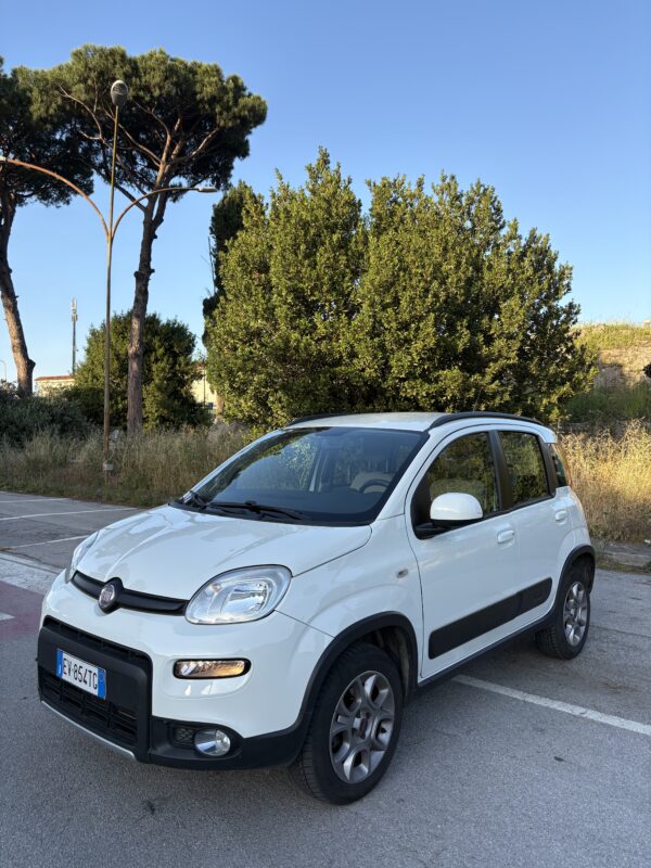 FIAT PANDA 1.3 MULTIJET 4x4 - immagine 2